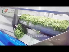 چگونه خط تولید لوبیا کنسرو شده لوبیا کنسرو شده تولید می کند؟