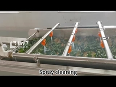 خط توليد اتوماتيك مخمر کنسرو شده ظرف سبزيجات تجهیزات سفارشي