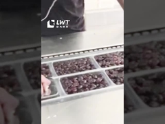 خط تولید بسته بندی تاریخ اتوماتیک تاریخ ماشین بسته بندی فیلم خلاء