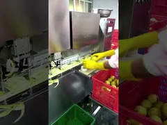 خط تولید میوه های کنسرو شده Leadworld خط پردازش گندم