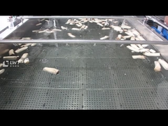 ماشین تمیز کردن حباب قارچ