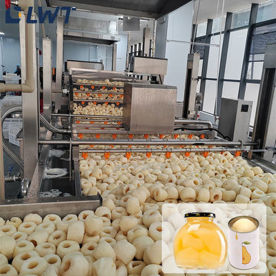 خط تولید میوه های کنسرو شده PLC خط پردازش گندم